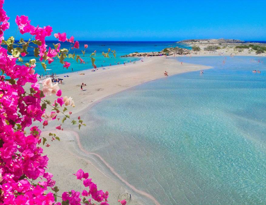 Beautiful sandy beach with turquoise sea and pink flowers, illustrating relaxing beach holidays.